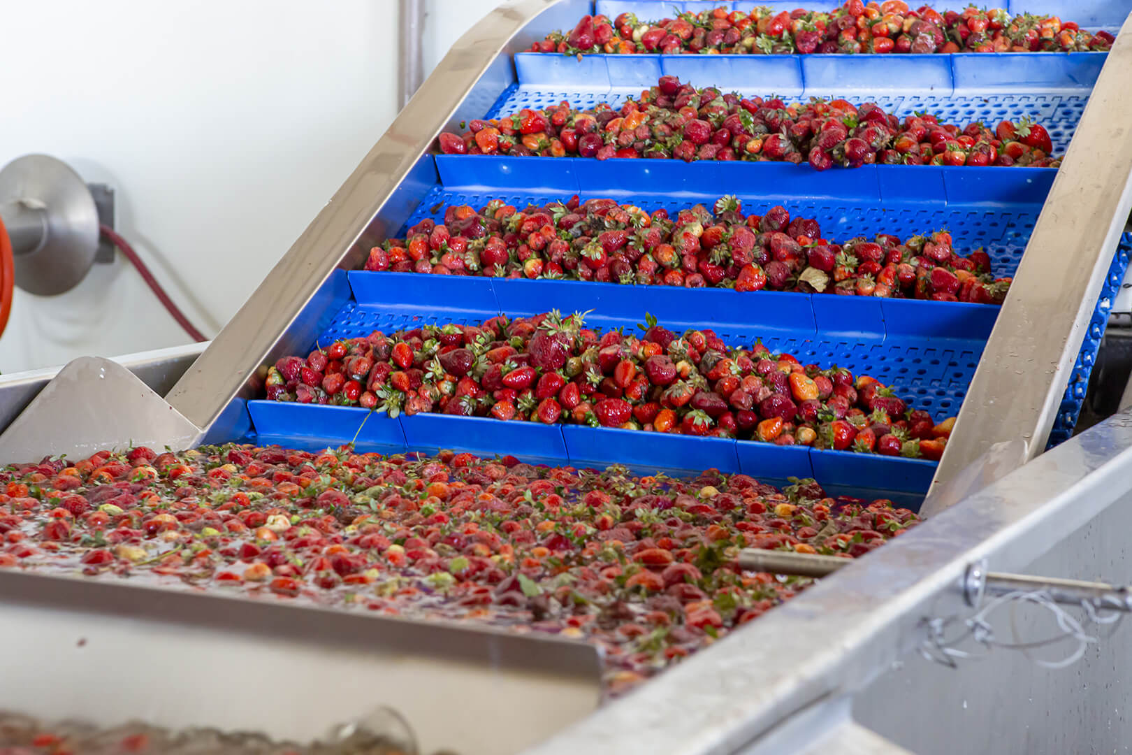 Indústria de Alimentos