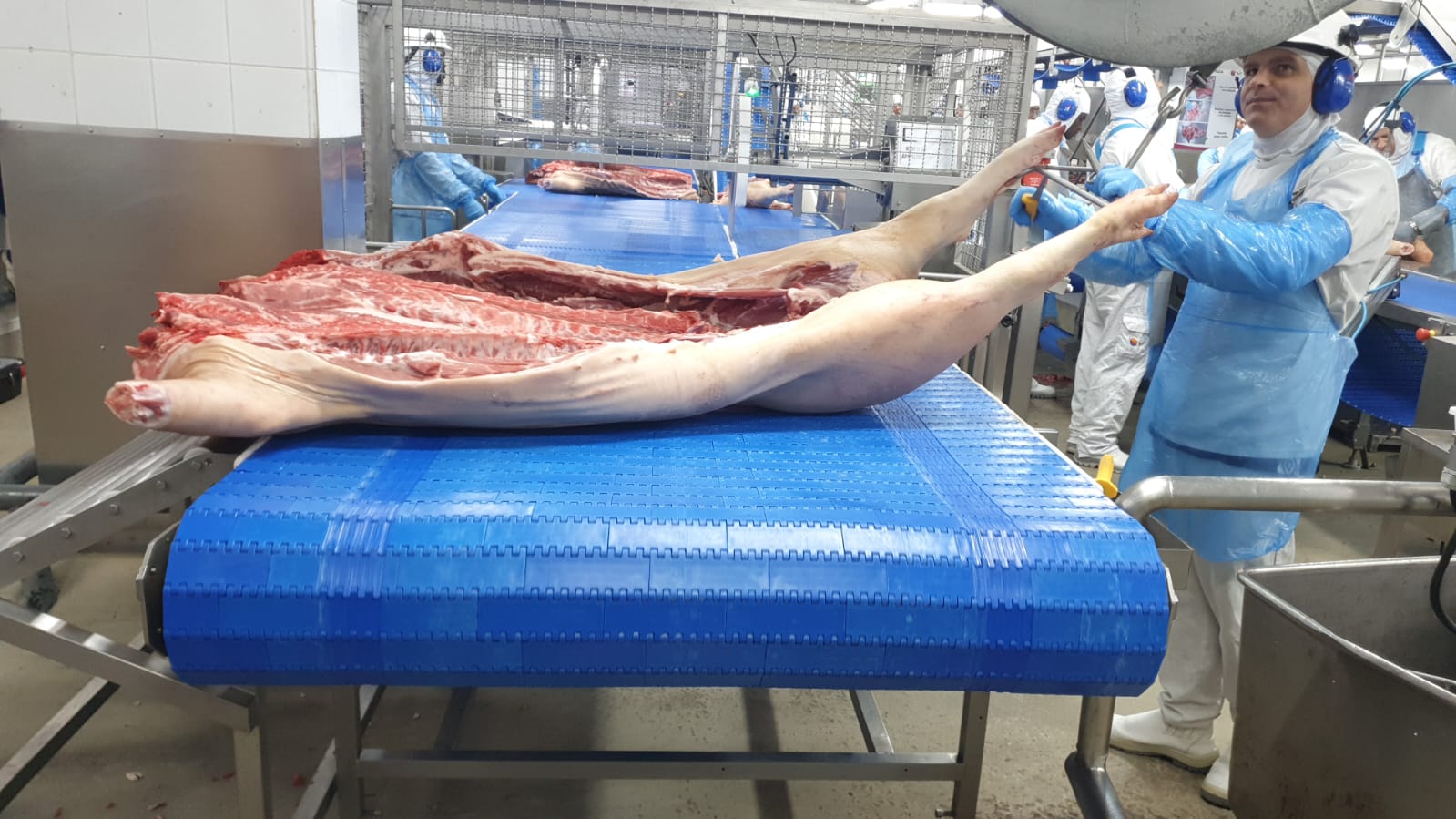 Indústria Frigorífica