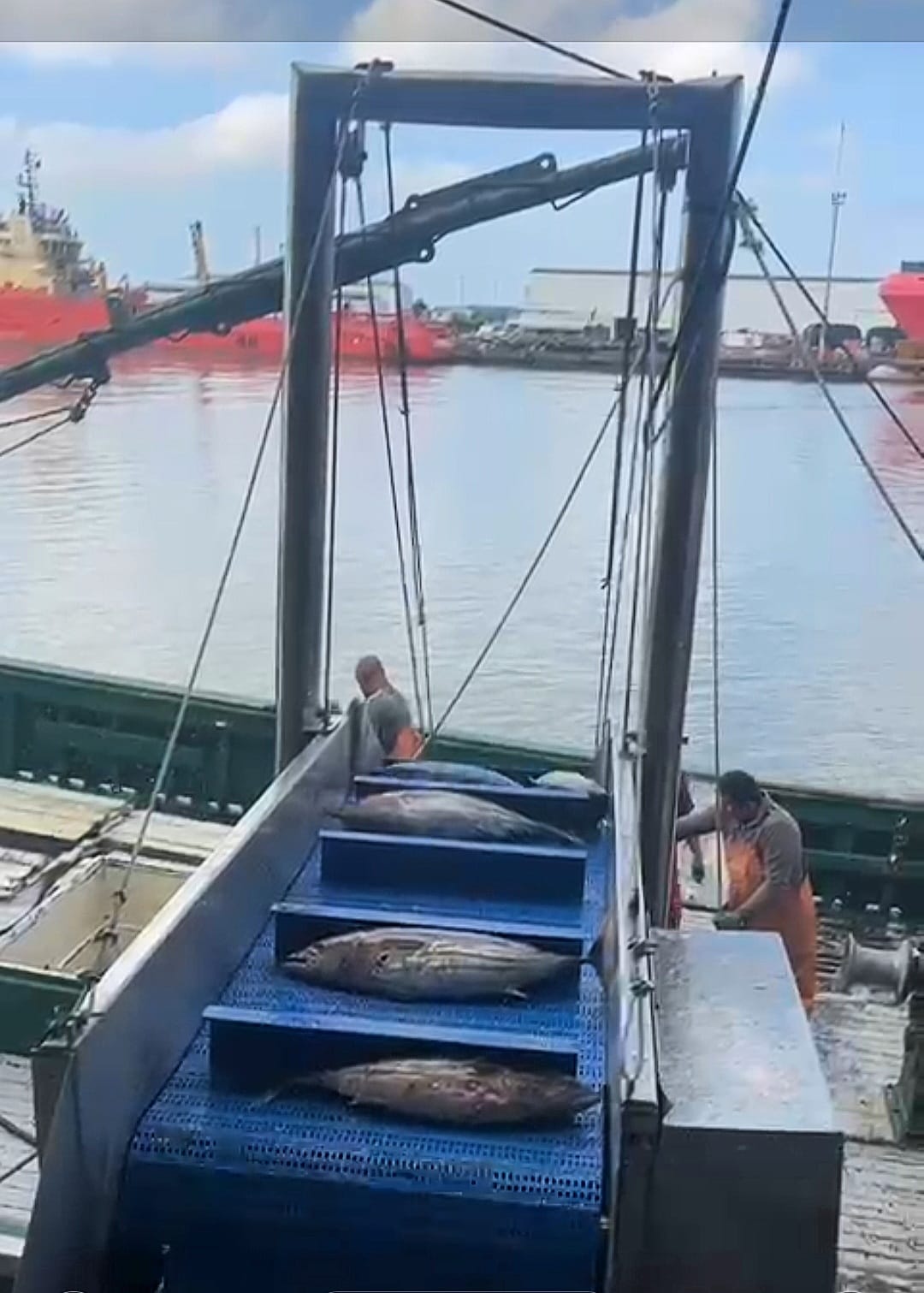 Indústria de Pescados